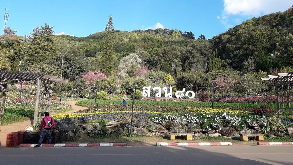 Doi Angkhang (1)