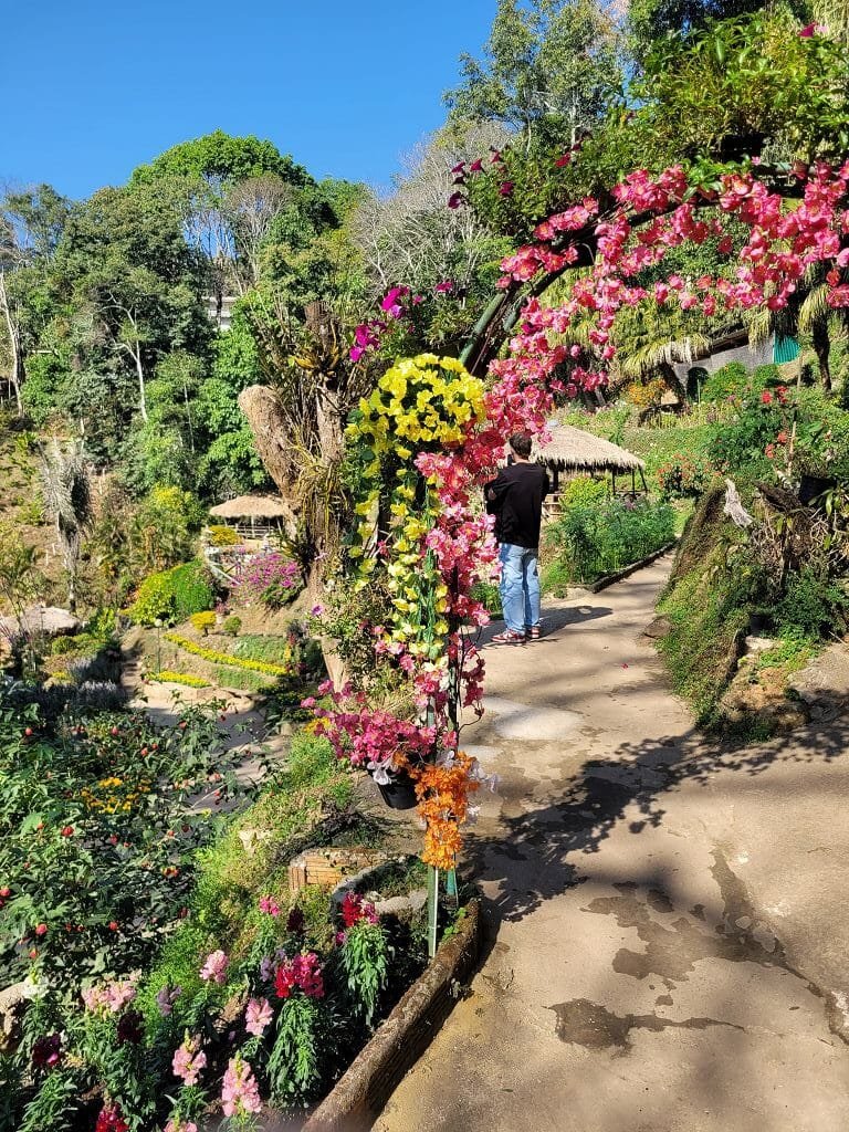 Hmong Doi Pui Village (5)