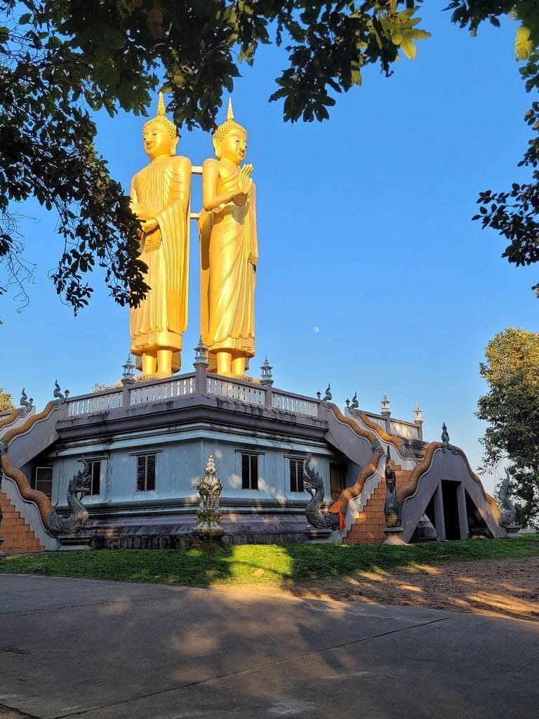 Mae Wang Chiang Mai (1)